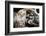 Taling Chan Floating Market, Bangkok, Thailand, Southeast Asia, Asia-Andrew Taylor-Framed Photographic Print