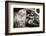 Taling Chan Floating Market, Bangkok, Thailand, Southeast Asia, Asia-Andrew Taylor-Framed Photographic Print