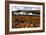 Talisker Distillery, Isle of Skye, Highland, Scotland-Peter Thompson-Framed Photographic Print