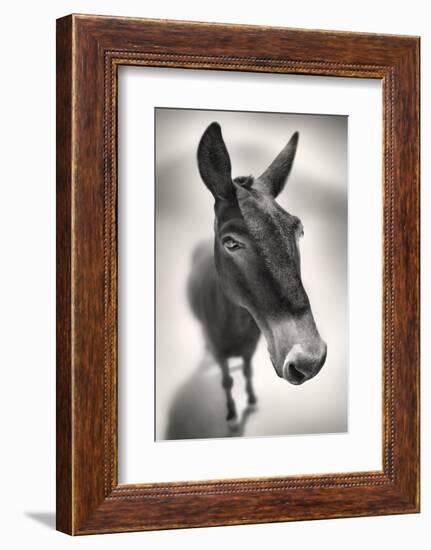 Talking to Me-Ben Heine-Framed Photographic Print