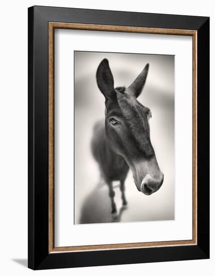 Talking to Me-Ben Heine-Framed Photographic Print