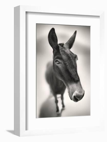 Talking to Me-Ben Heine-Framed Photographic Print