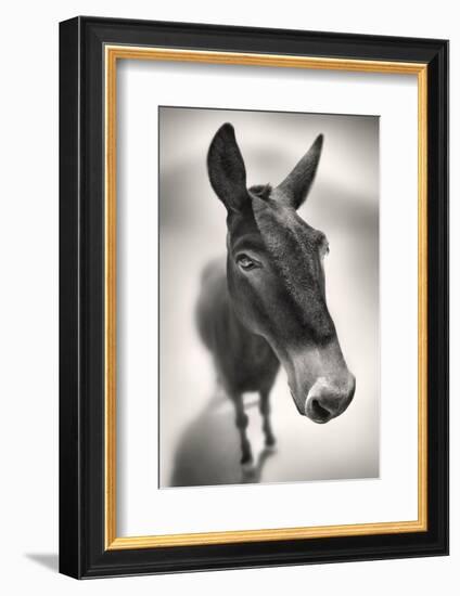 Talking to Me-Ben Heine-Framed Photographic Print