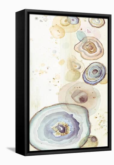 Tall Agates Flying Watercolor-Patricia Pinto-Framed Stretched Canvas