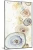 Tall Agates Flying Watercolor-Patricia Pinto-Mounted Art Print