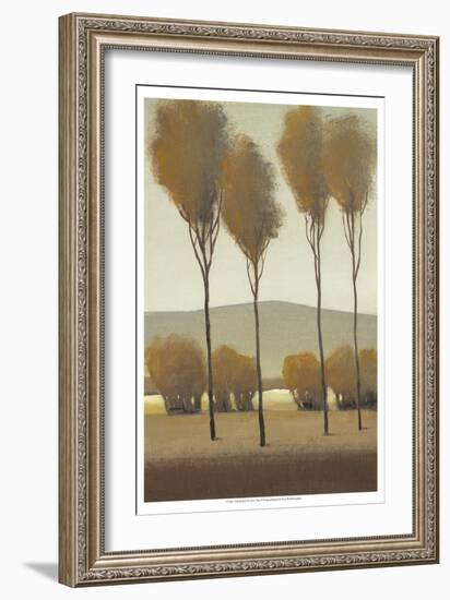 Tall Birches I-Tim O'toole-Framed Art Print