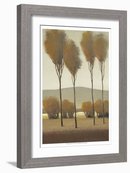 Tall Birches I-Tim O'toole-Framed Art Print