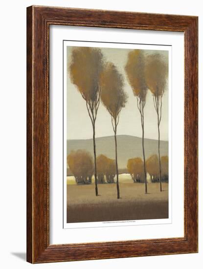 Tall Birches I-Tim O'toole-Framed Art Print