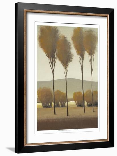 Tall Birches I-Tim O'toole-Framed Art Print