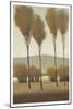 Tall Birches I-Tim O'toole-Mounted Art Print