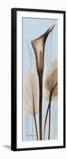 Tall Brown Calla Lily-Albert Koetsier-Framed Art Print