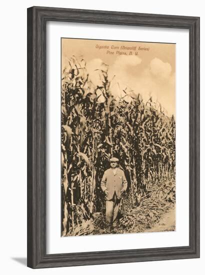 Tall Corn, Pine Plains, New York-null-Framed Art Print