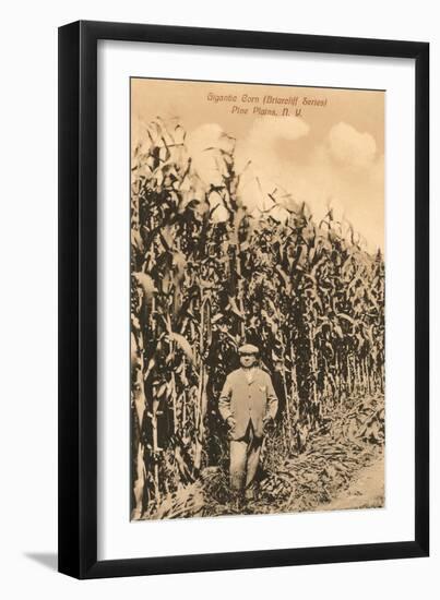 Tall Corn, Pine Plains, New York-null-Framed Art Print