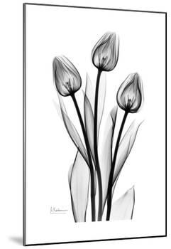 Tall Early Tulips N Black and White-Albert Koetsier-Mounted Art Print