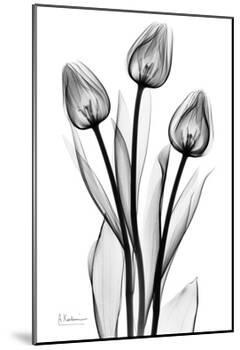 Tall Early Tulips N Black and White-Albert Koetsier-Mounted Art Print