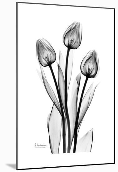 Tall Early Tulips N Black and White-Albert Koetsier-Mounted Art Print