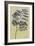 Tall Fern I-Silvia Vassileva-Framed Art Print