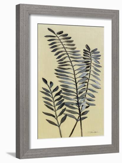 Tall Fern II-Silvia Vassileva-Framed Art Print