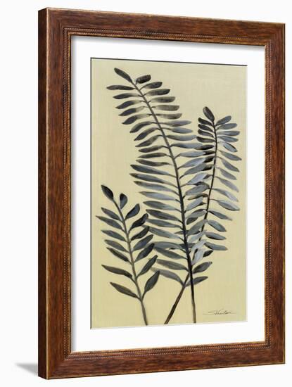 Tall Fern II-Silvia Vassileva-Framed Art Print