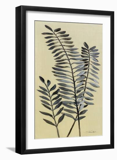 Tall Fern II-Silvia Vassileva-Framed Art Print