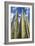 Tall Garden of Cactus-Bill Carson Photography-Framed Art Print