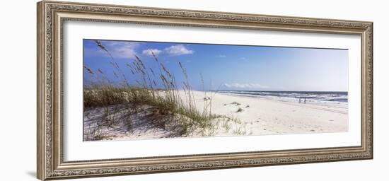 Tall Grass on the Beach, Perdido Key Area, Gulf Islands National Seashore, Pensacola, Florida, USA-null-Framed Photographic Print