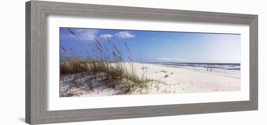 Tall Grass on the Beach, Perdido Key Area, Gulf Islands National Seashore, Pensacola, Florida, USA-null-Framed Photographic Print