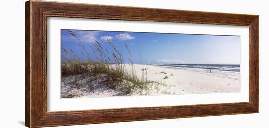 Tall Grass on the Beach, Perdido Key Area, Gulf Islands National Seashore, Pensacola, Florida, USA-null-Framed Photographic Print