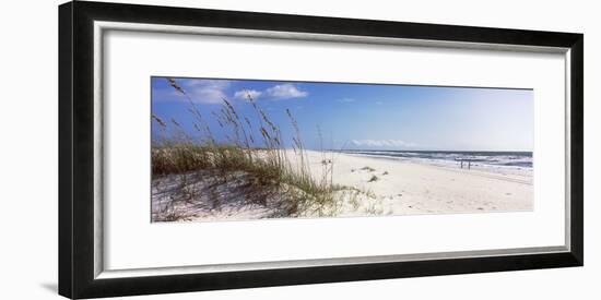 Tall Grass on the Beach, Perdido Key Area, Gulf Islands National Seashore, Pensacola, Florida, USA-null-Framed Photographic Print
