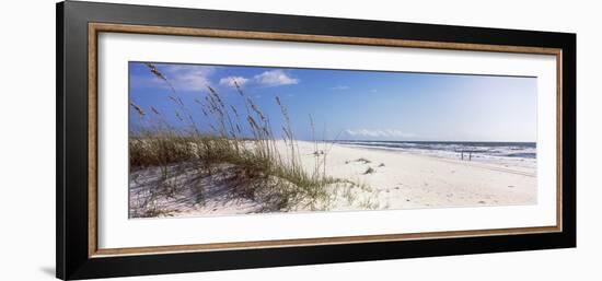 Tall Grass on the Beach, Perdido Key Area, Gulf Islands National Seashore, Pensacola, Florida, USA-null-Framed Photographic Print