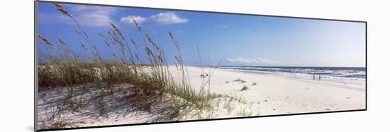 Tall Grass on the Beach, Perdido Key Area, Gulf Islands National Seashore, Pensacola, Florida, USA-null-Mounted Photographic Print