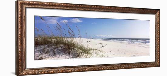 Tall Grass on the Beach, Perdido Key Area, Gulf Islands National Seashore, Pensacola, Florida, USA-null-Framed Photographic Print