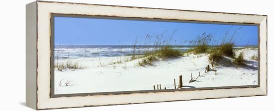 Tall Grass on the Beach, Perdido Key Area, Gulf Islands National Seashore, Pensacola, Florida, USA-null-Framed Stretched Canvas