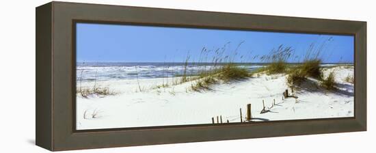 Tall Grass on the Beach, Perdido Key Area, Gulf Islands National Seashore, Pensacola, Florida, USA-null-Framed Stretched Canvas