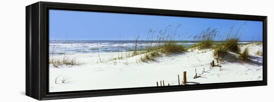 Tall Grass on the Beach, Perdido Key Area, Gulf Islands National Seashore, Pensacola, Florida, USA-null-Framed Stretched Canvas