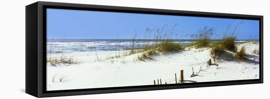 Tall Grass on the Beach, Perdido Key Area, Gulf Islands National Seashore, Pensacola, Florida, USA-null-Framed Stretched Canvas