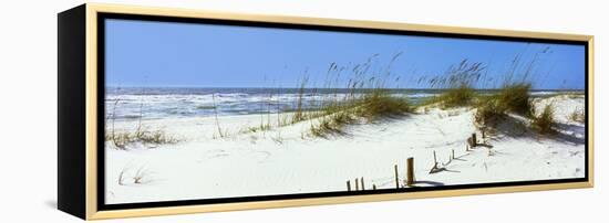 Tall Grass on the Beach, Perdido Key Area, Gulf Islands National Seashore, Pensacola, Florida, USA-null-Framed Stretched Canvas