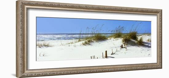 Tall Grass on the Beach, Perdido Key Area, Gulf Islands National Seashore, Pensacola, Florida, USA-null-Framed Photographic Print