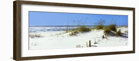 Tall Grass on the Beach, Perdido Key Area, Gulf Islands National Seashore, Pensacola, Florida, USA-null-Framed Photographic Print