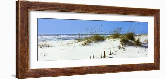 Tall Grass on the Beach, Perdido Key Area, Gulf Islands National Seashore, Pensacola, Florida, USA-null-Framed Photographic Print