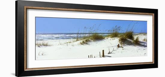 Tall Grass on the Beach, Perdido Key Area, Gulf Islands National Seashore, Pensacola, Florida, USA-null-Framed Photographic Print