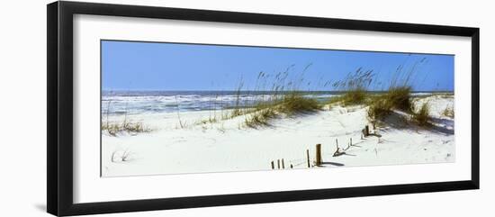 Tall Grass on the Beach, Perdido Key Area, Gulf Islands National Seashore, Pensacola, Florida, USA--Framed Photographic Print