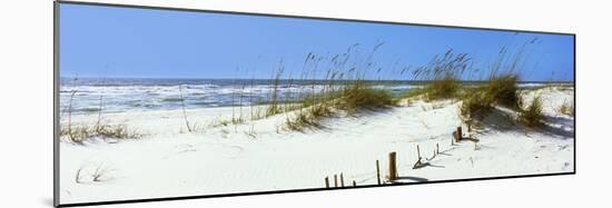 Tall Grass on the Beach, Perdido Key Area, Gulf Islands National Seashore, Pensacola, Florida, USA-null-Mounted Photographic Print