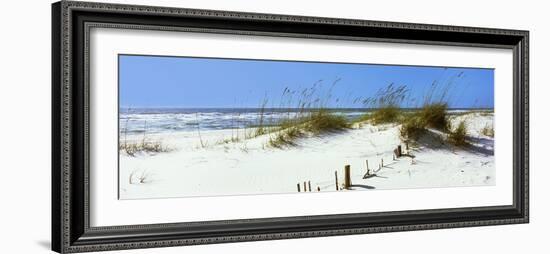 Tall Grass on the Beach, Perdido Key Area, Gulf Islands National Seashore, Pensacola, Florida, USA--Framed Photographic Print