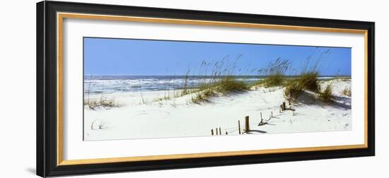 Tall Grass on the Beach, Perdido Key Area, Gulf Islands National Seashore, Pensacola, Florida, USA--Framed Photographic Print