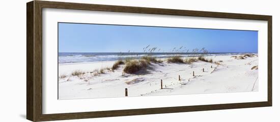 Tall Grass on the Beach, Perdido Key Area, Gulf Islands National Seashore, Pensacola, Florida, USA-null-Framed Photographic Print