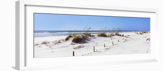 Tall Grass on the Beach, Perdido Key Area, Gulf Islands National Seashore, Pensacola, Florida, USA-null-Framed Photographic Print