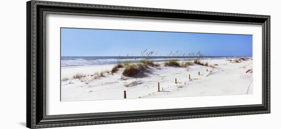 Tall Grass on the Beach, Perdido Key Area, Gulf Islands National Seashore, Pensacola, Florida, USA-null-Framed Photographic Print