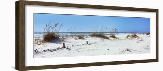 Tall Grass on the Beach, Perdido Key Area, Gulf Islands National Seashore, Pensacola, Florida, USA-null-Framed Photographic Print