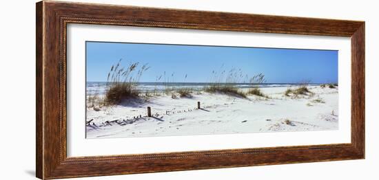 Tall Grass on the Beach, Perdido Key Area, Gulf Islands National Seashore, Pensacola, Florida, USA-null-Framed Photographic Print